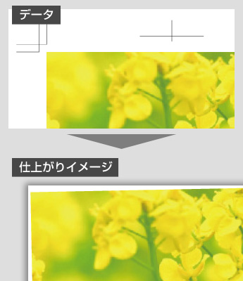 ズレのイメージ